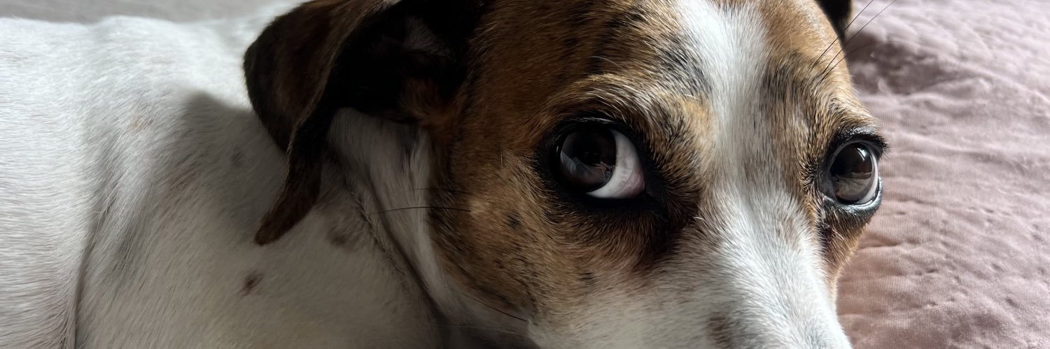 luiza banner