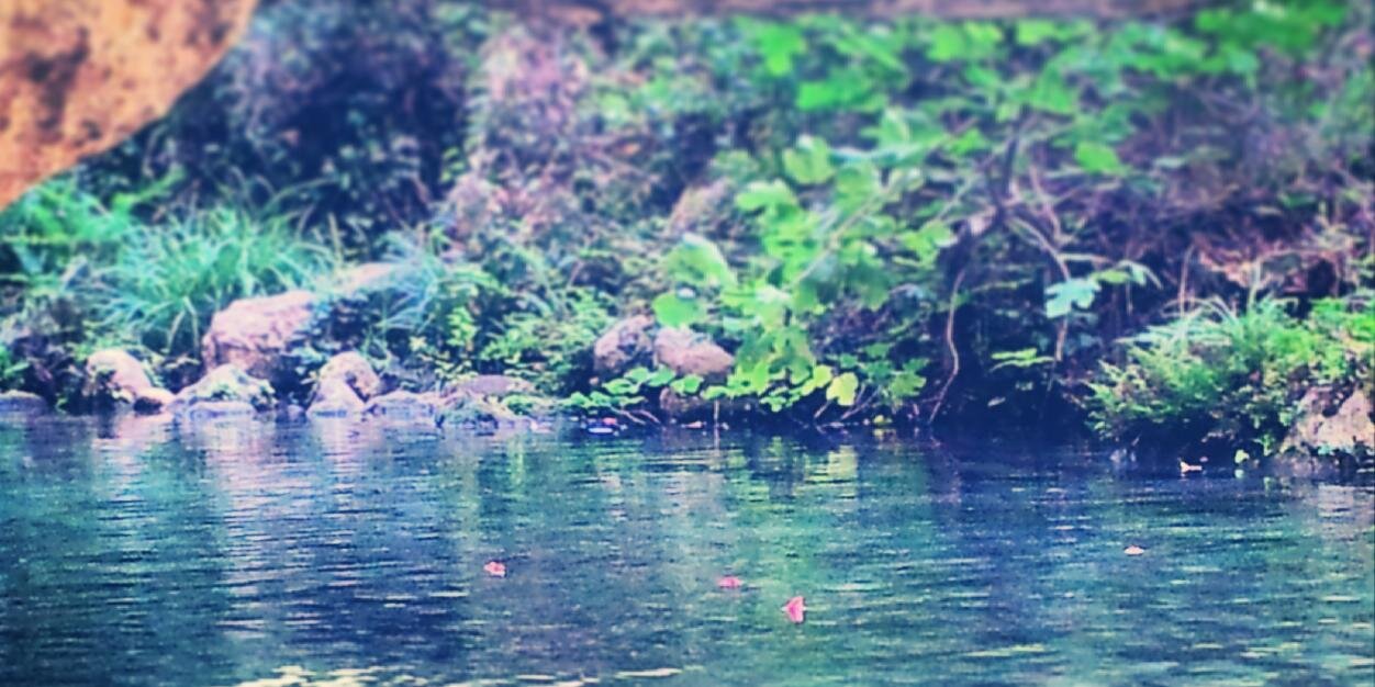 AnnaBenenati's profile banner image