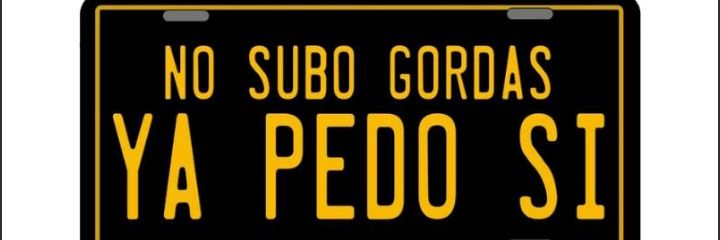 El Pavito Metichón®™'s banner