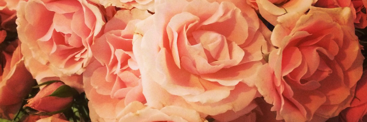 wendypierce's profile banner image