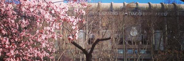 emafederigo's profile banner image