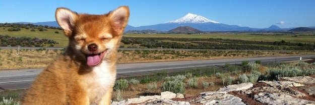 Codgerverse's profile banner image