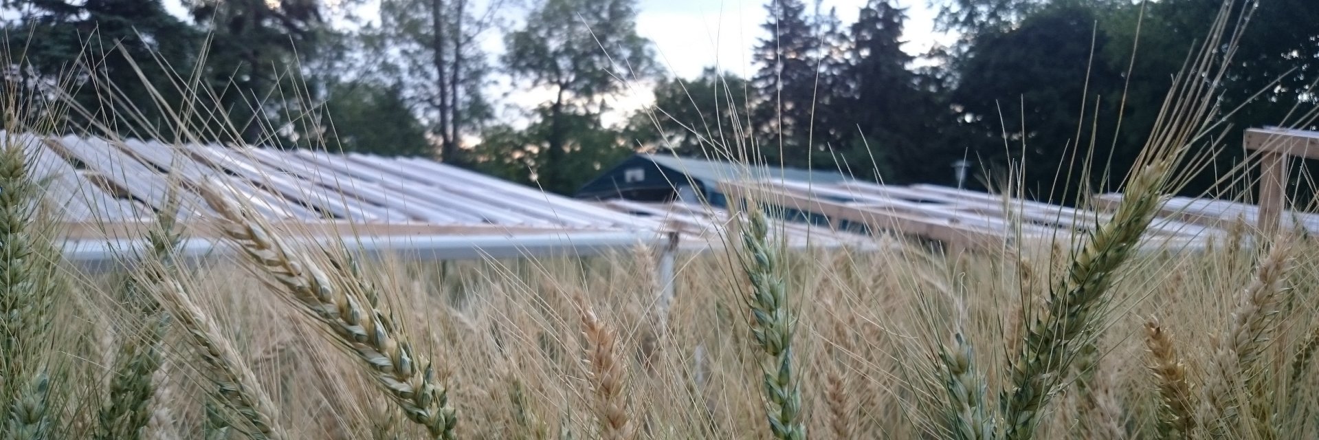 Hamed Azarbad banner