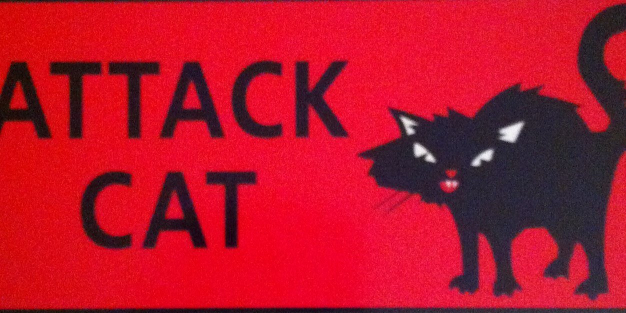 💙💛 WOKÉMON fka The French Tweacher 🌊🖖 banner