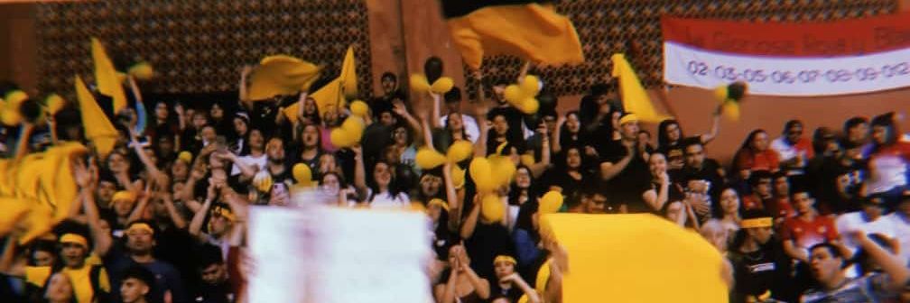 Ana Fiorela banner