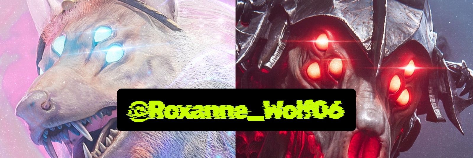 🍙 Roxanne_wolf06 🍥 banner