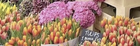 usedbytulipgarden banner