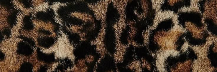 leona banner