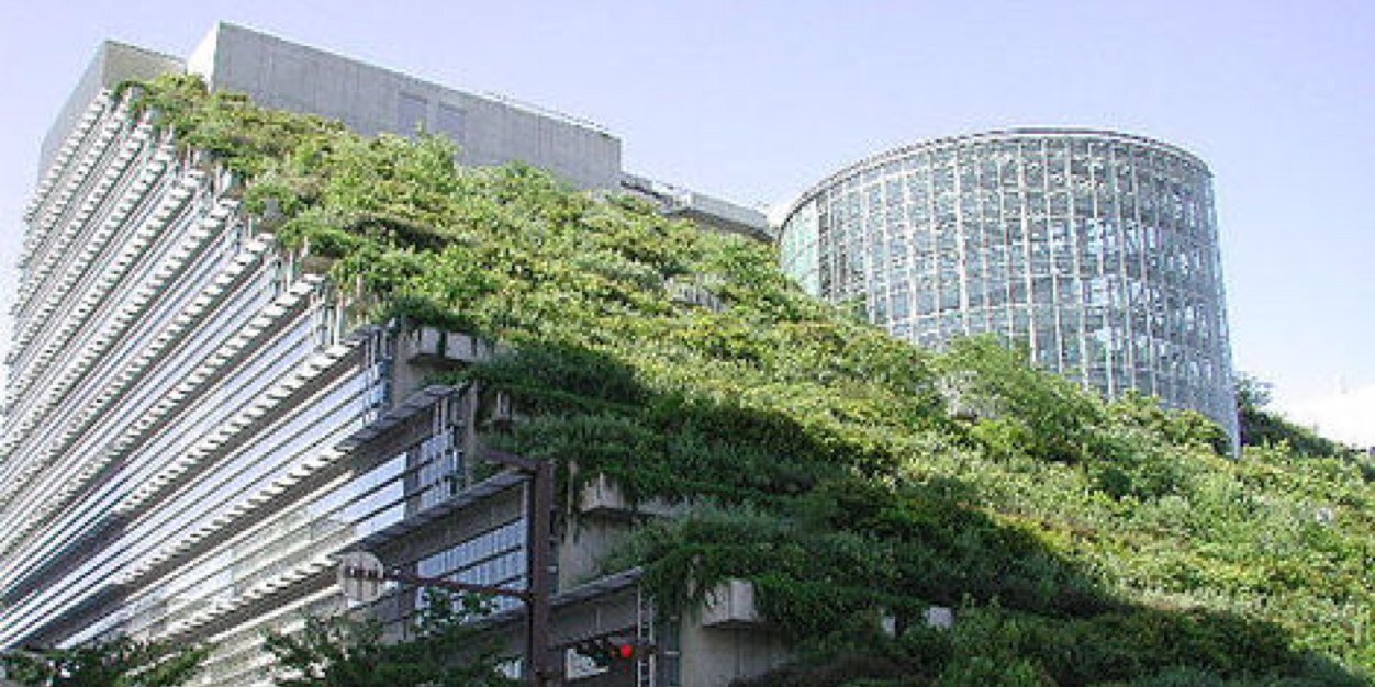 ActiveEcology's profile banner image