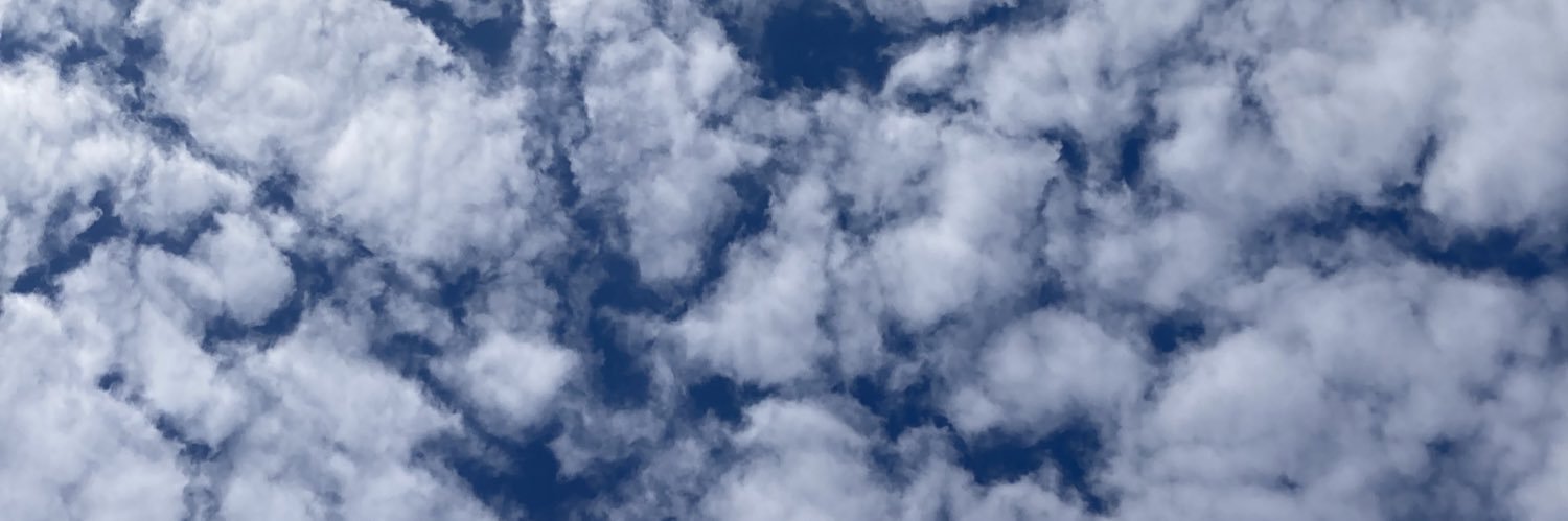 JuliaLantz's profile banner image