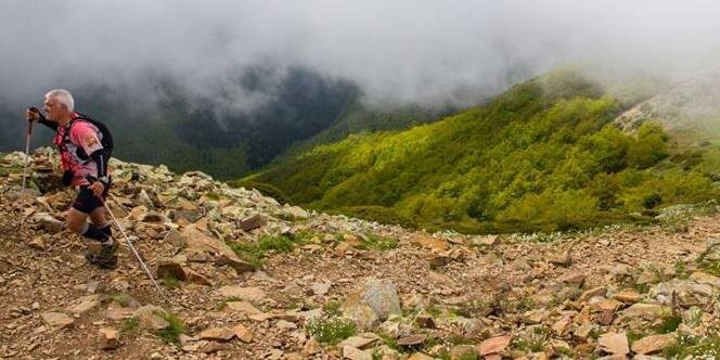 paco ramos🔻 banner