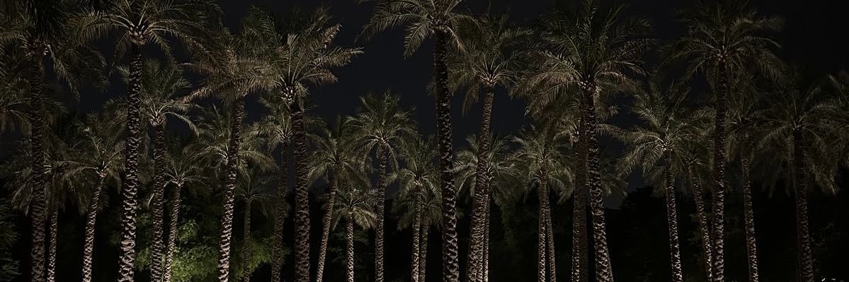 Tpyiio's profile banner image