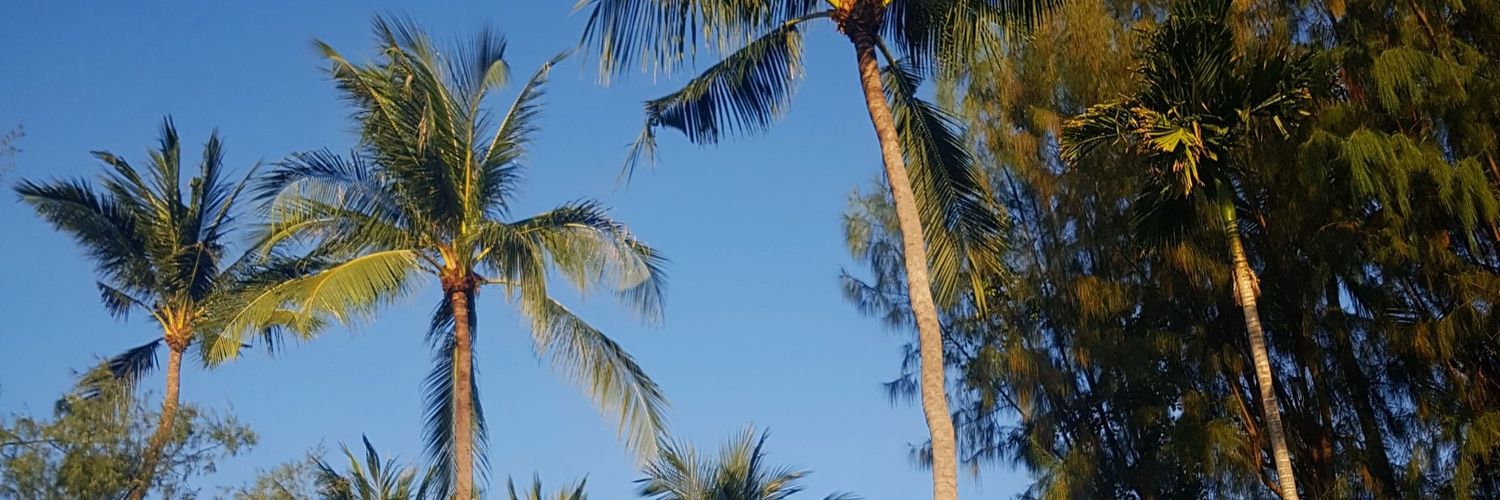 TGullis's profile banner image