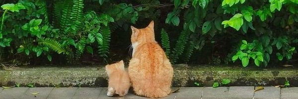 Marshall Nehemiah banner