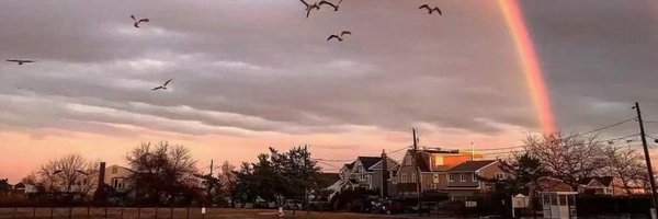 Hayden Bernal banner