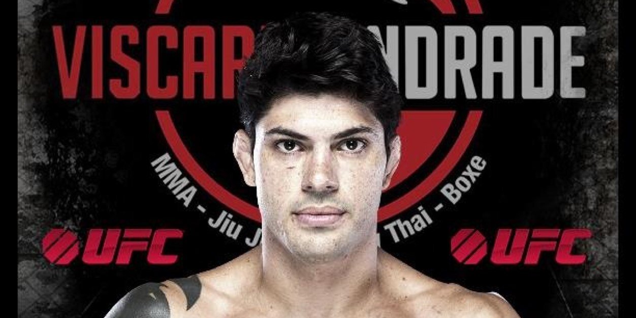 CTViscardi's profile banner image