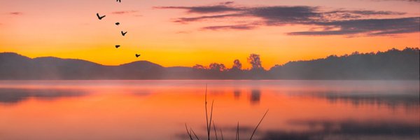 Roderick Henry banner