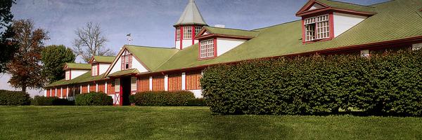 CalumetFarm Profile Banner