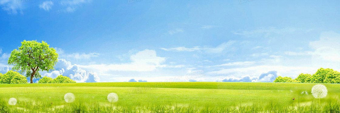 michsi1's profile banner image