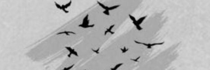 DrRoode's profile banner image