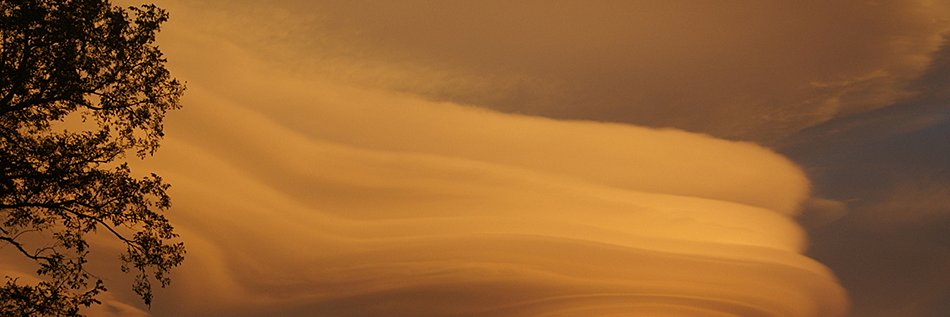 Ipponattez's profile banner image