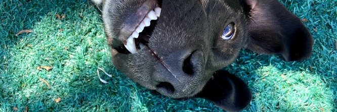 felipenery97's profile banner image