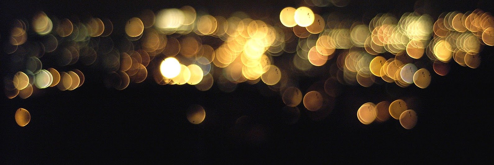 Jonika Zapiorkowska banner