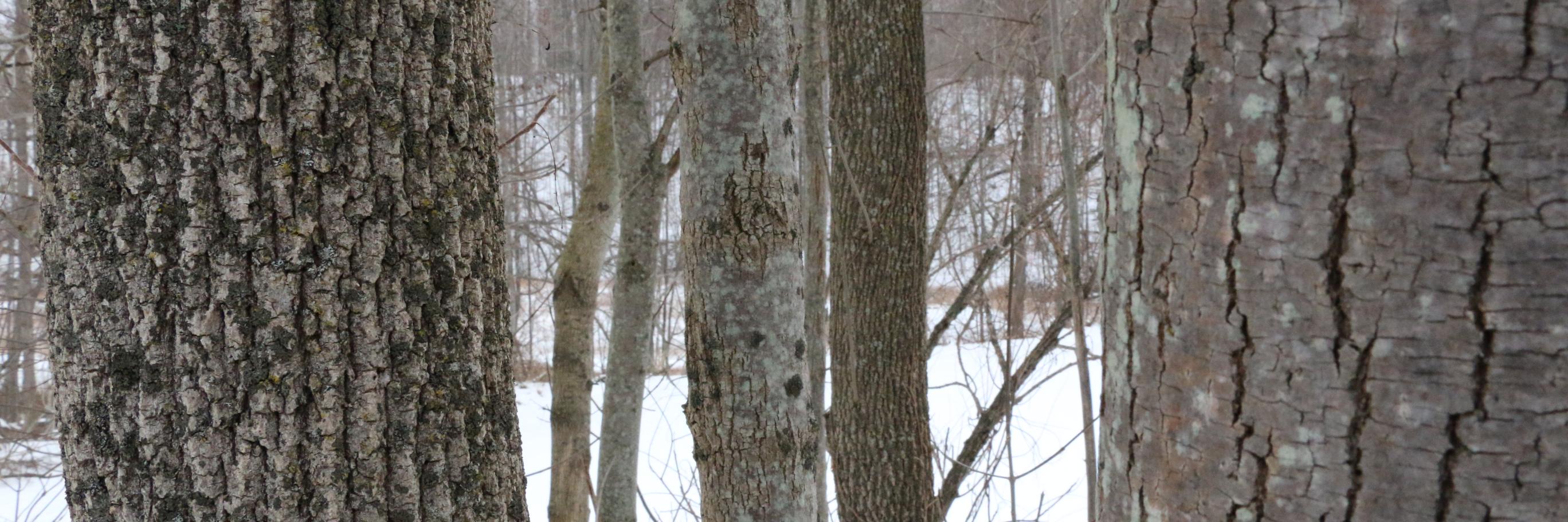 Kettle Ridge Farm banner