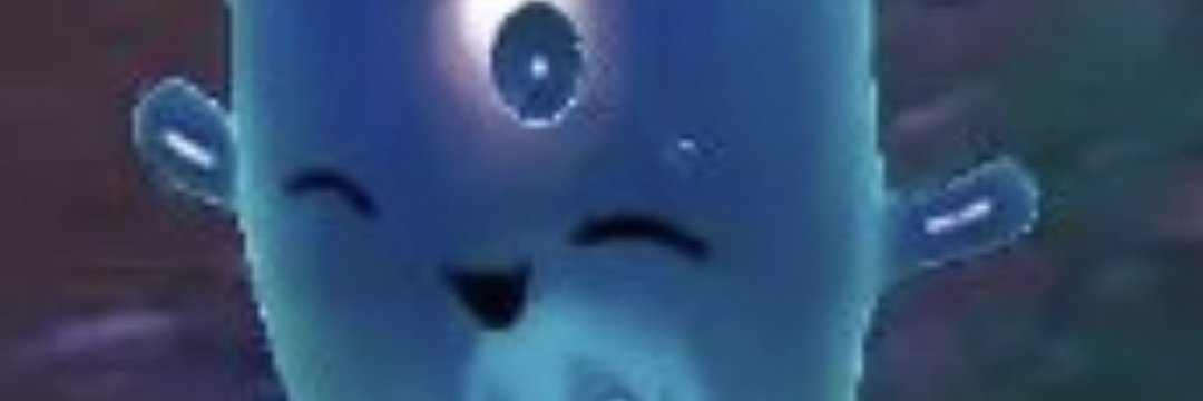SC_Maxi banner