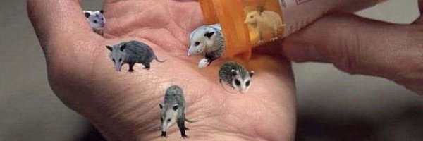 jwiging_esti Profile Banner