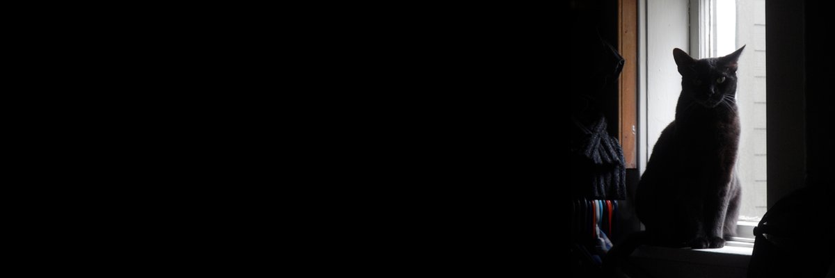 𝖆 𝖓 𝖙 banner