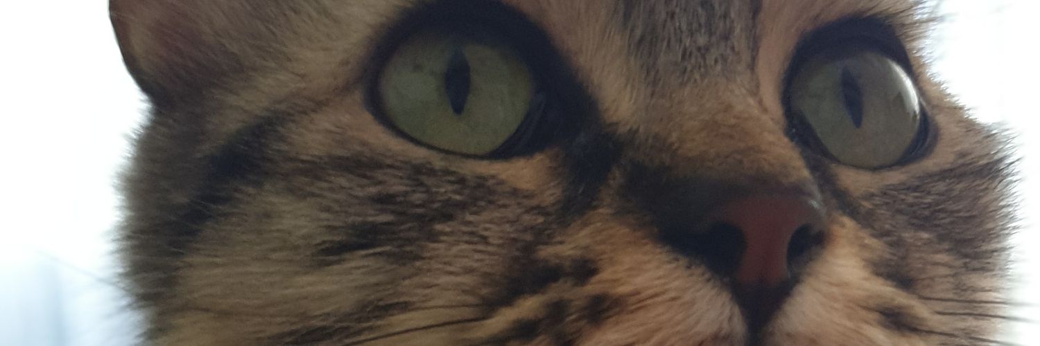 AALR1976's profile banner image