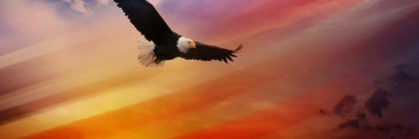 JamesZimr Profile Banner