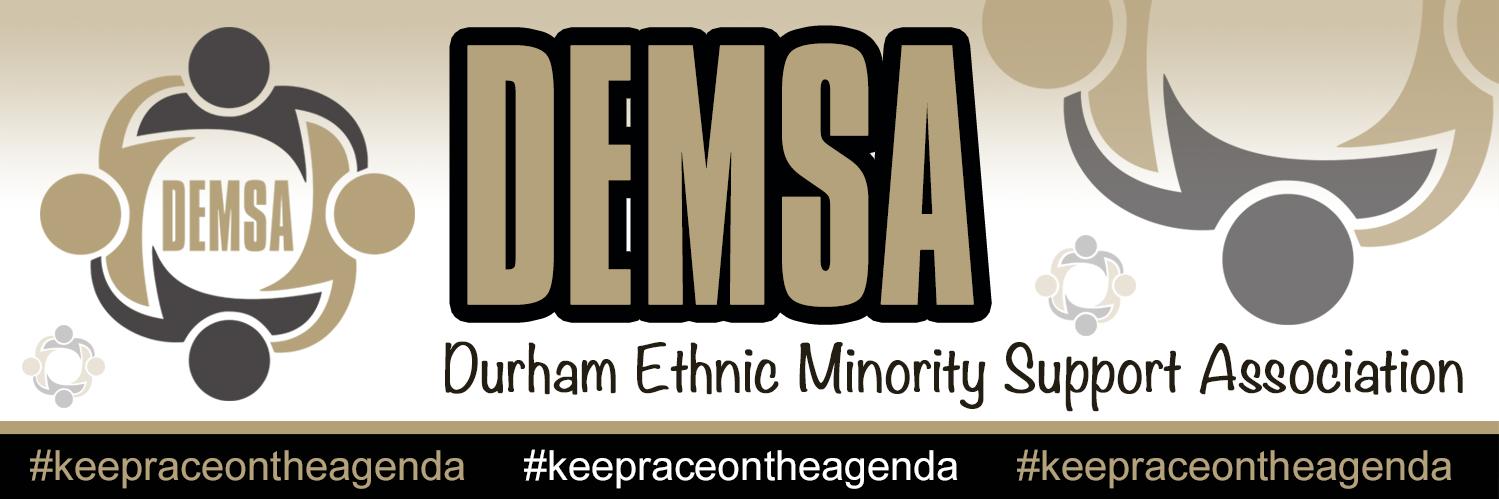 DEMSA (Durham Ethnic Minority Support Association) banner