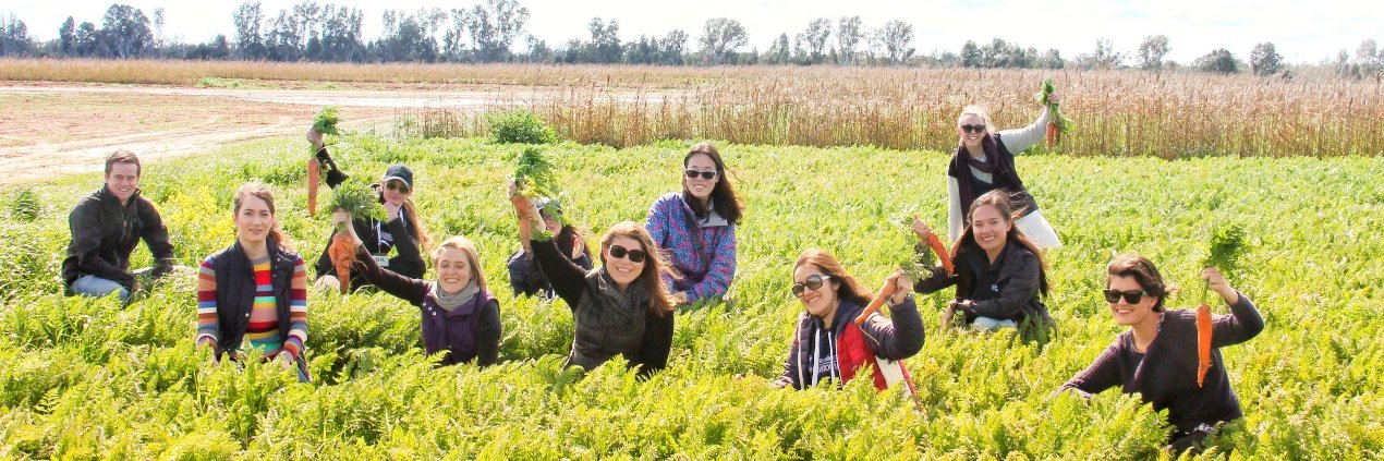 NSW Young Farmers banner