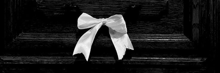 ника харитонова. banner