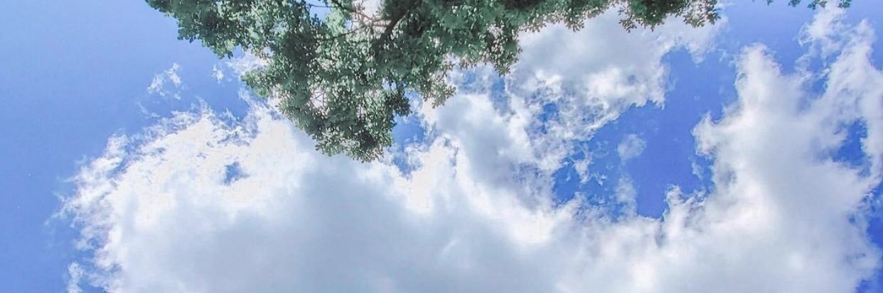 aof_135's profile banner image