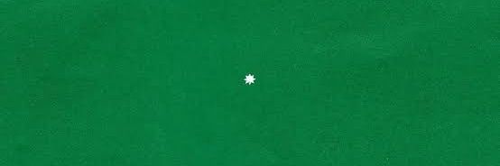 tim bernardes brasil 💚 banner