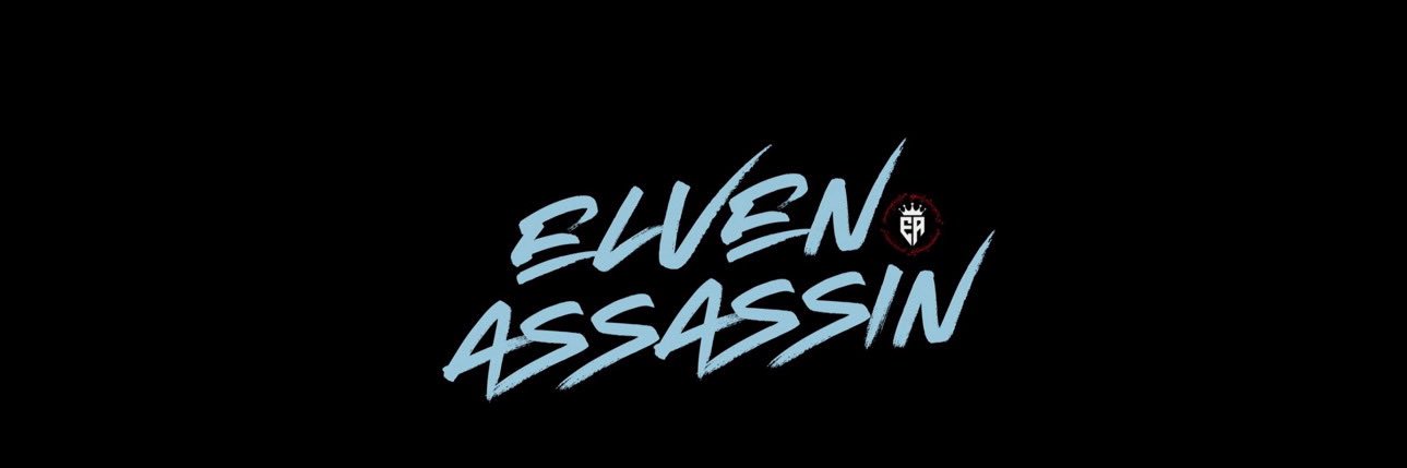 ElvenAssassin_'s profile banner image