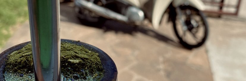 anna_balbinot's profile banner image