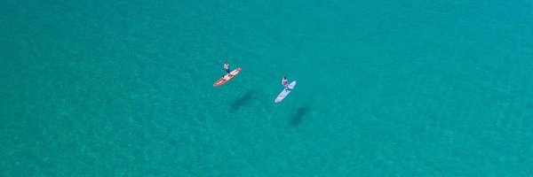 OpenOcean Profile Banner