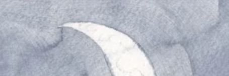whtsupmane banner