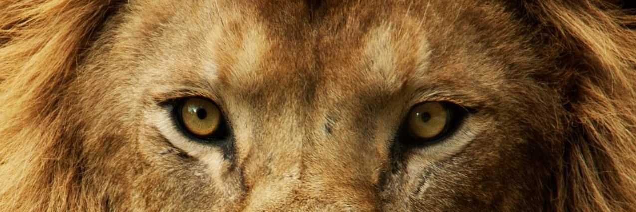 Curro03's profile banner image