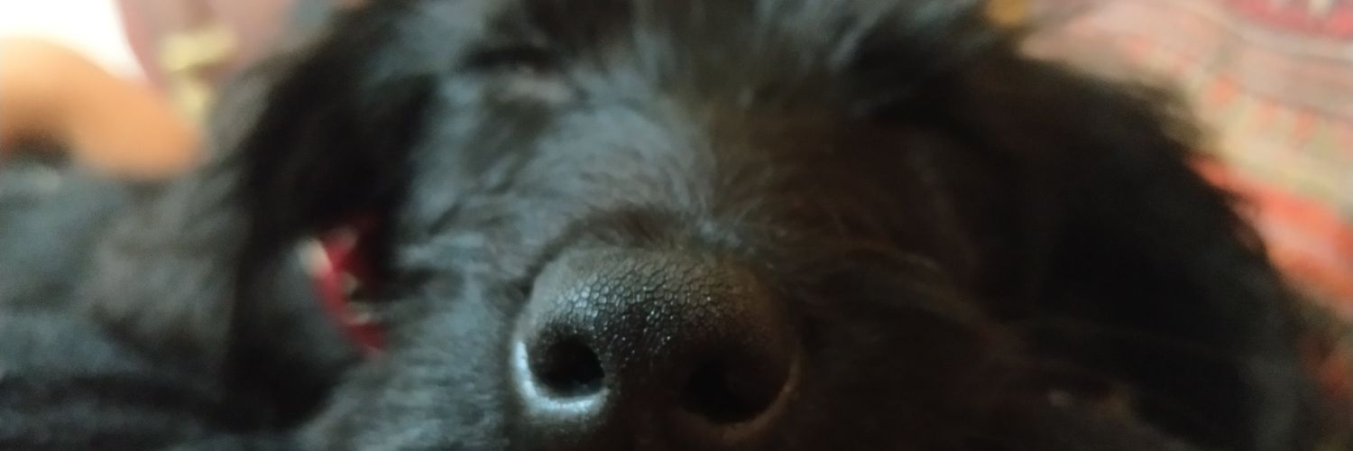 MeliAtela's profile banner image