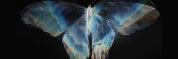 _regsmv Profile Banner