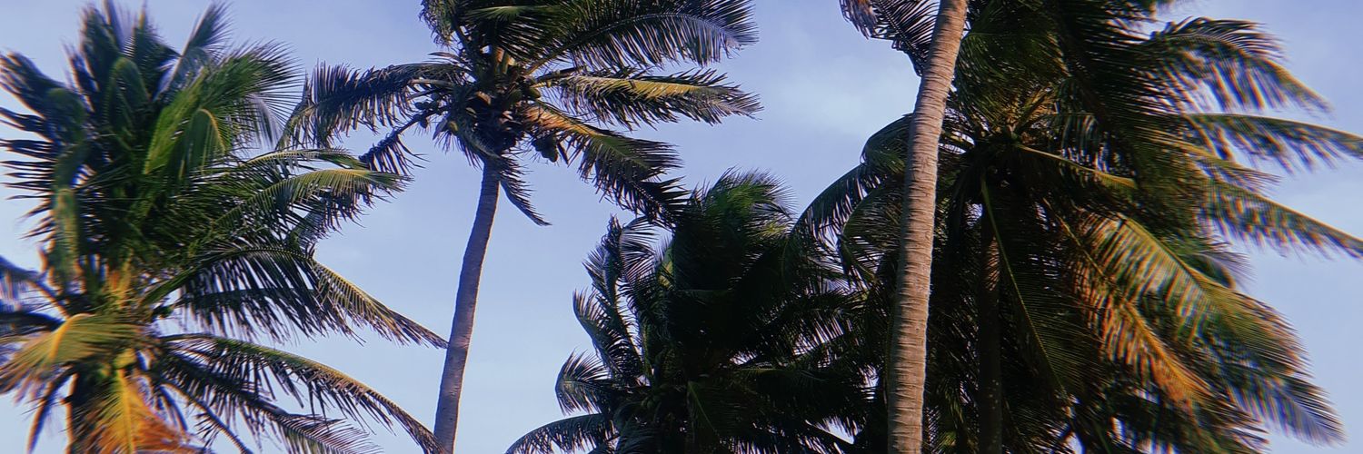 ㅤ ㅤ 💔 banner