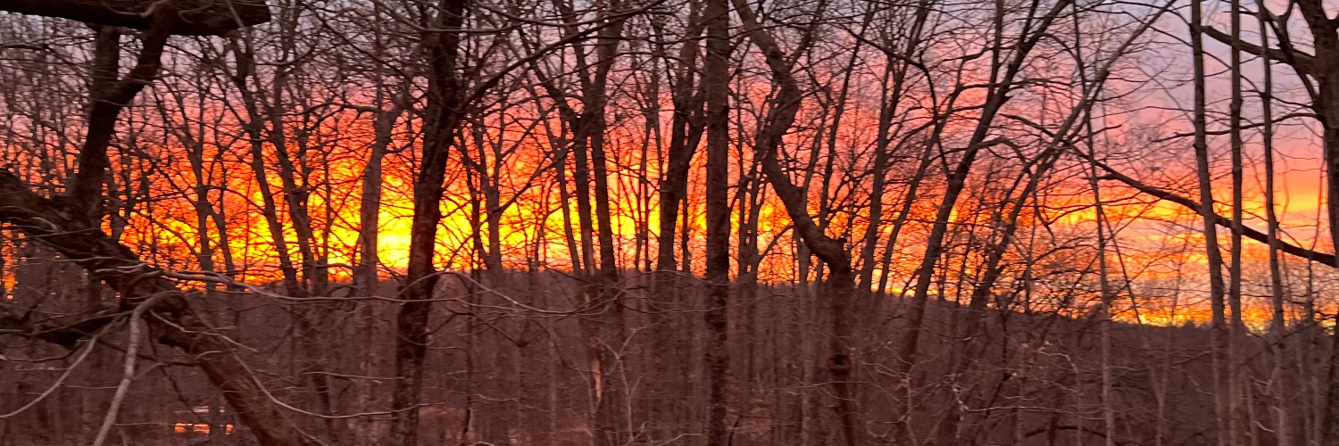 mwarrentc's profile banner image