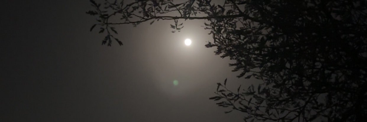 xswiod's profile banner image