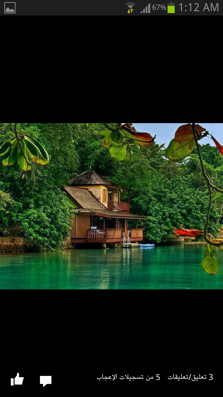 raad_ali4's profile banner image