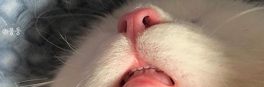 DearCarla's profile banner image